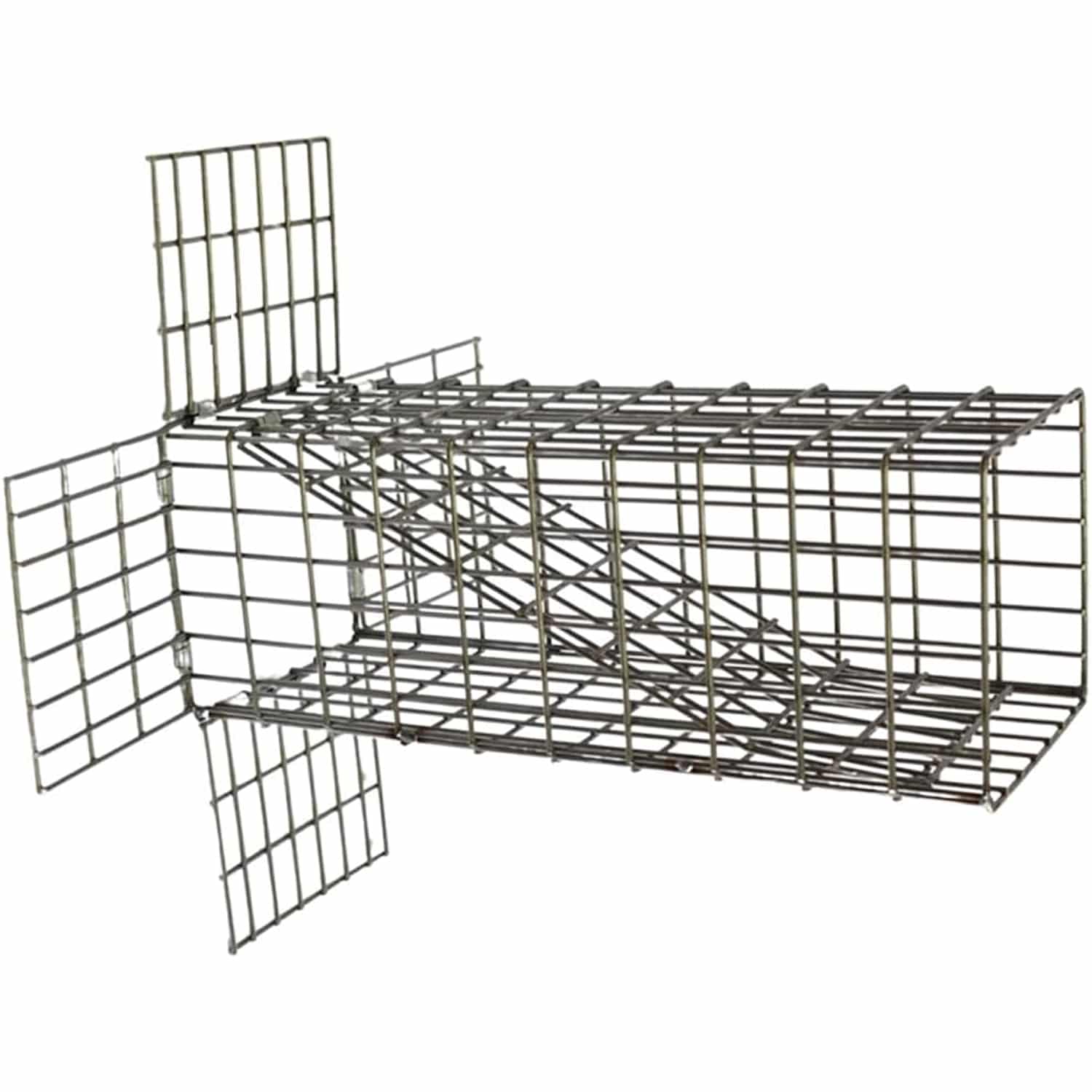 Best 5 Humane Mouse Traps Safe Effective Rodent Control Without Harm best-5-humane-mouse-traps-safe-effective-rodent-control-without-harm